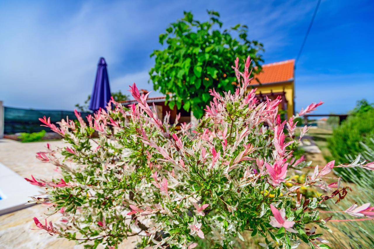 Villa Sunny House Smokovic Esterno foto