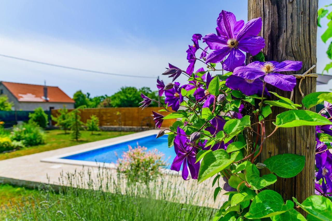 Villa Sunny House Smokovic Esterno foto
