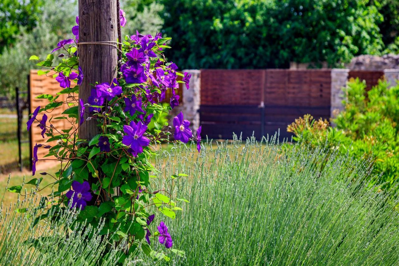Villa Sunny House Smokovic Esterno foto