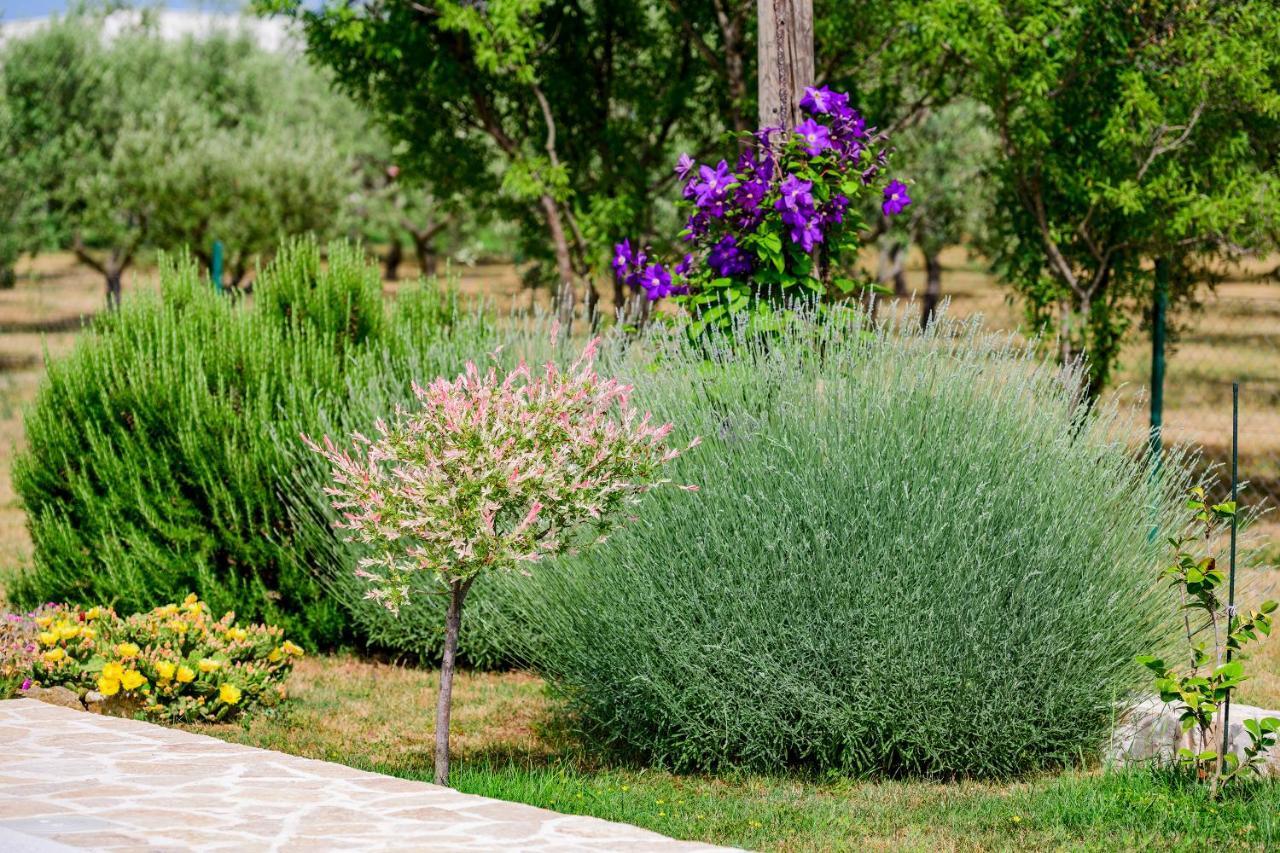 Villa Sunny House Smokovic Esterno foto