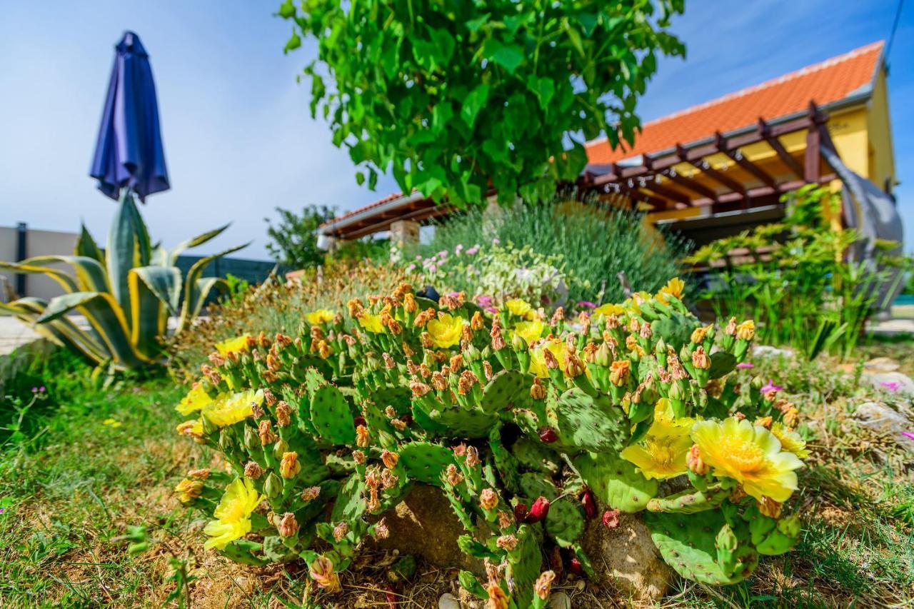 Villa Sunny House Smokovic Esterno foto