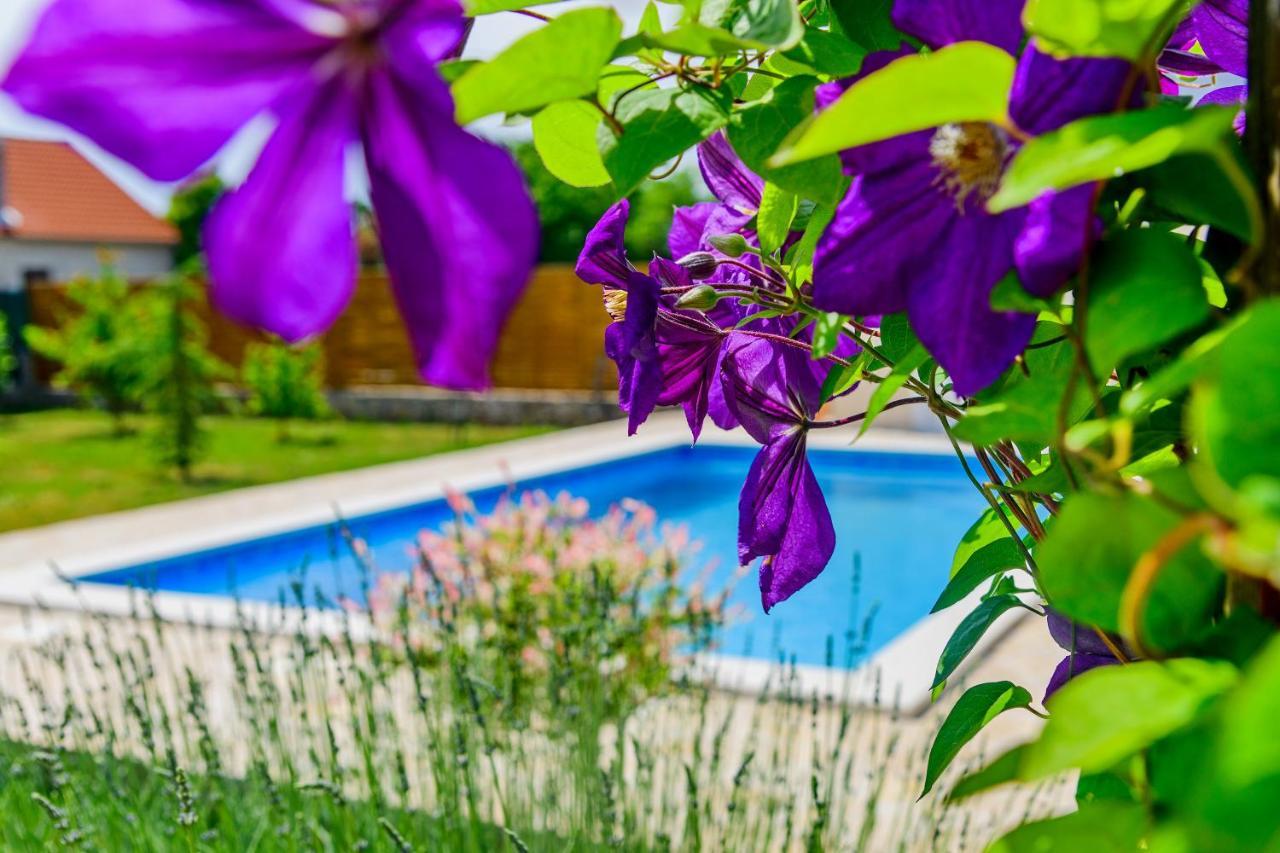 Villa Sunny House Smokovic Esterno foto